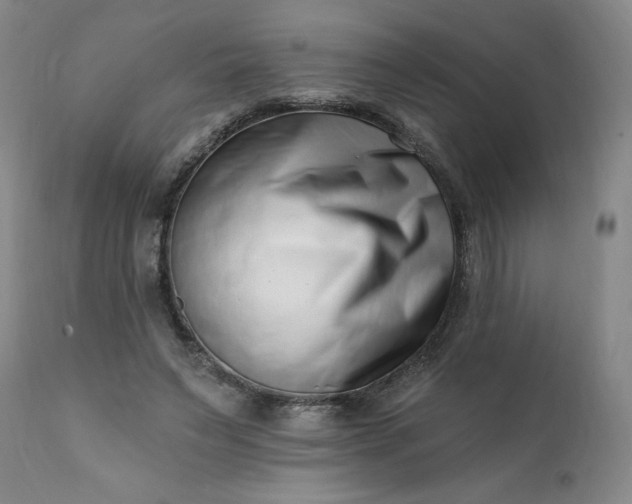 X0000113200495200909241402