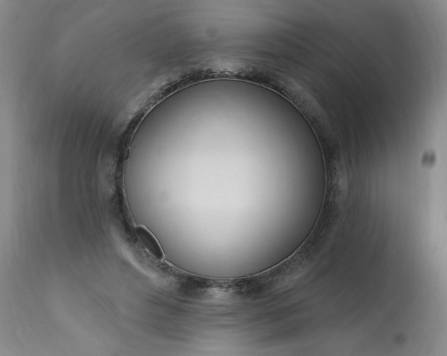 X0000113200496200909241402