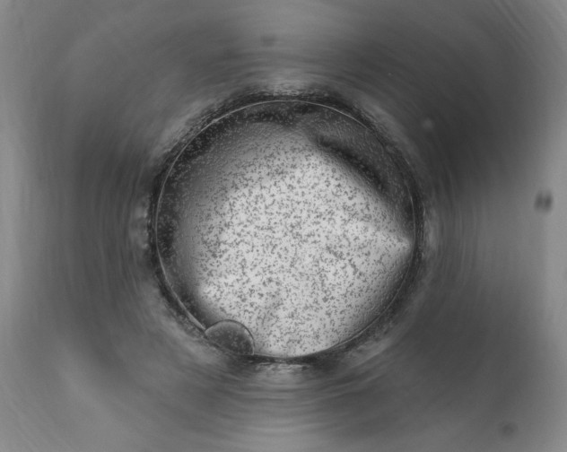 X0000113200497200909241402