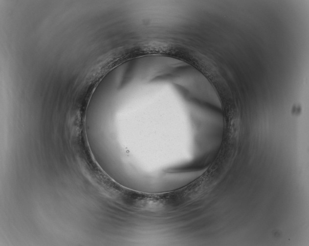 X0000113200498200909241402