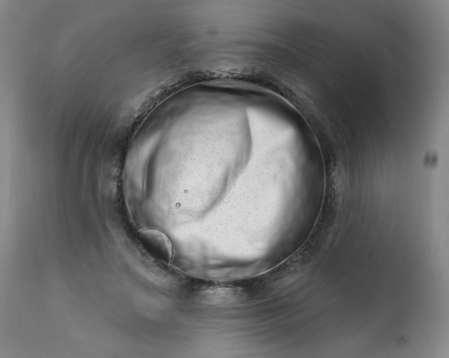 X0000113200499200909241402