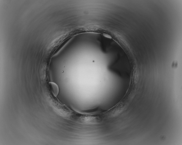 X0000113200501200909241402