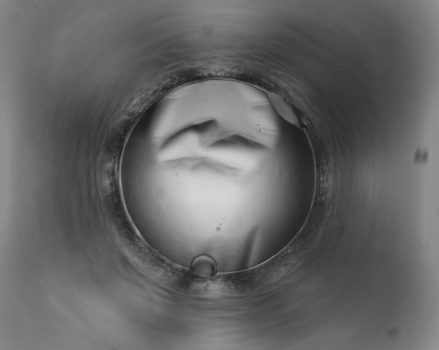 X0000113200503200909241402