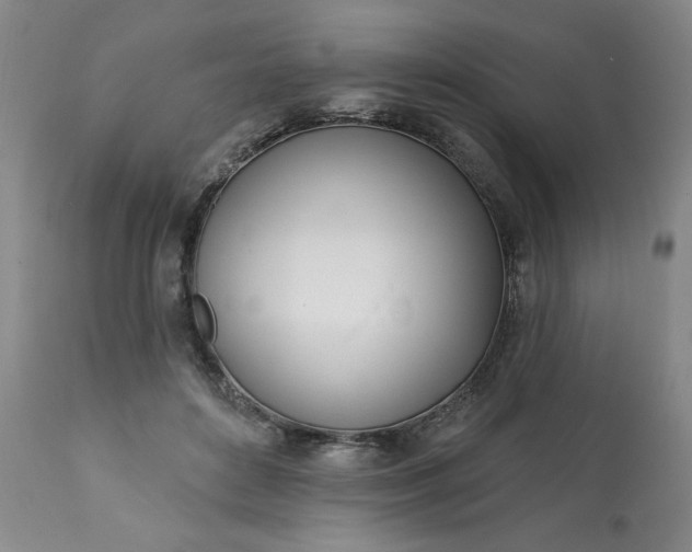 X0000113200504200909241402