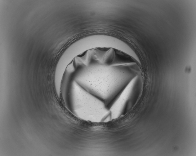 X0000113200505200909241402