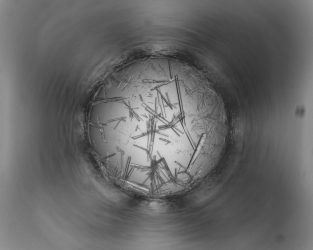 X0000113200506200909241402