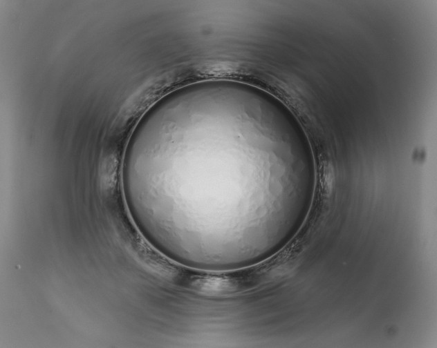 X0000113200507200909241402