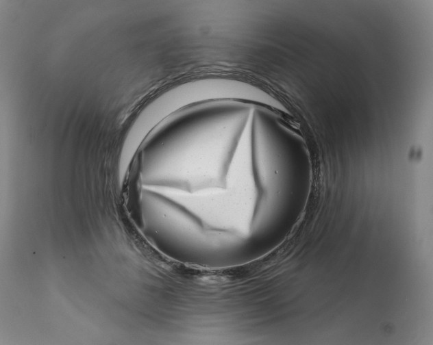 X0000113200508200909241402