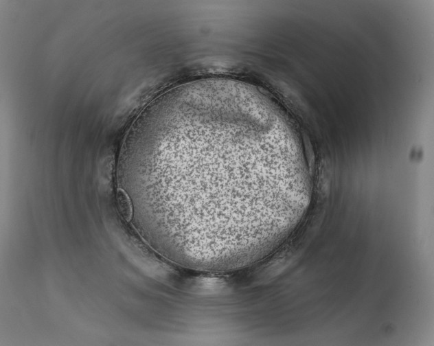 X0000113200509200909241402