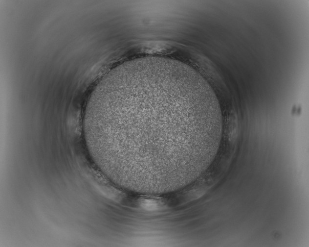 X0000113200510200909241402