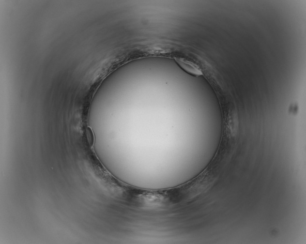 X0000113200512200909241402