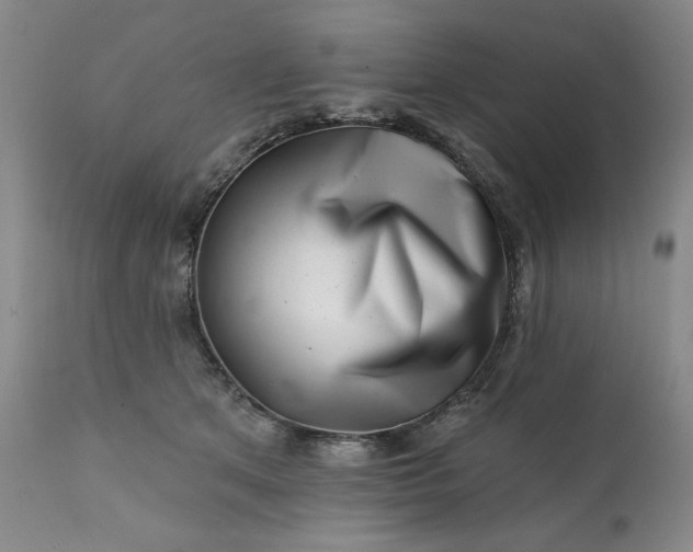 X0000113200513200909241402