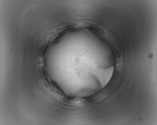 X0000113200514200909241402