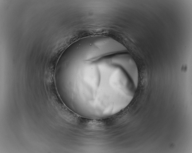 X0000113200515200909241402