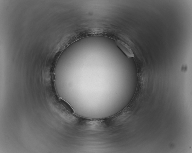 X0000113200516200909241402