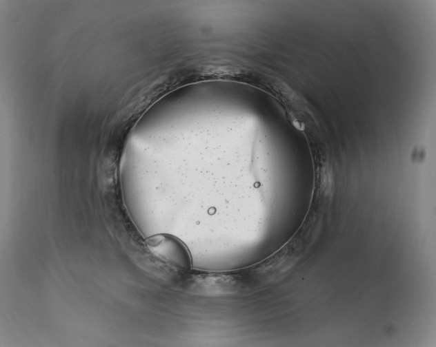 X0000113200517200909241402