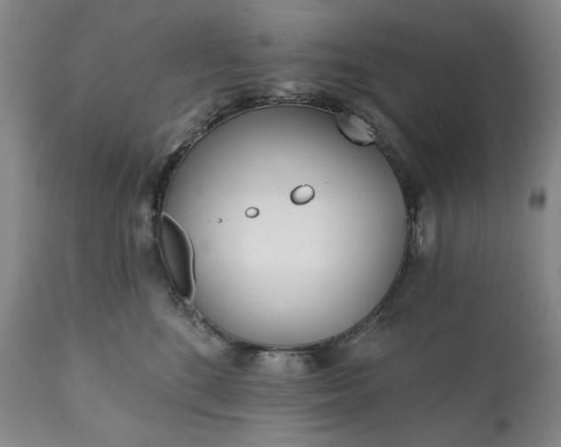 X0000113200520200909241402