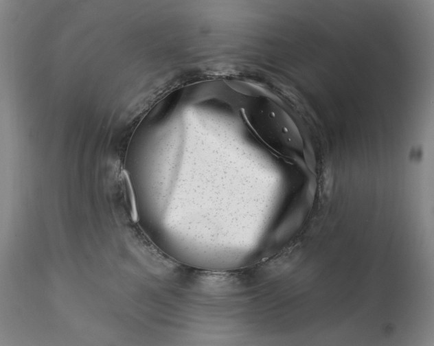 X0000113200521200909241402