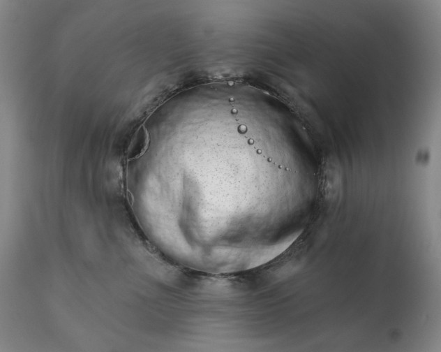 X0000113200523200909241402