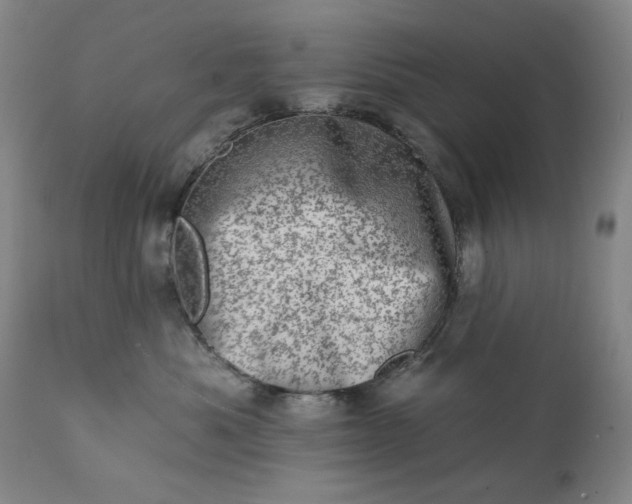 X0000113200525200909241402