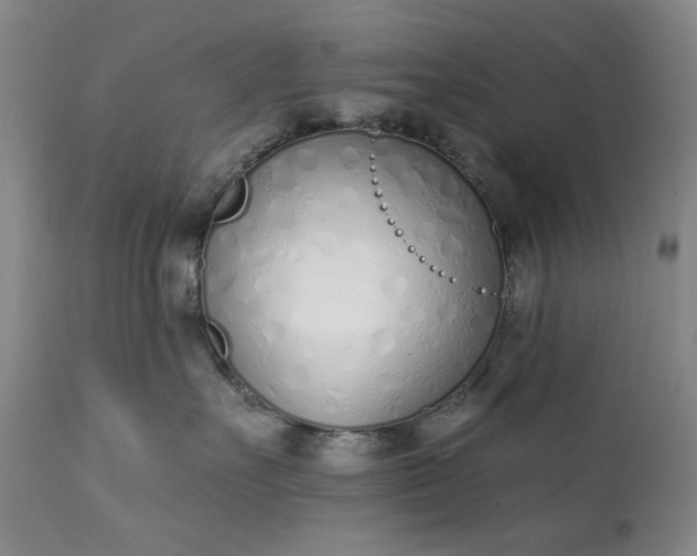 X0000113200527200909241402