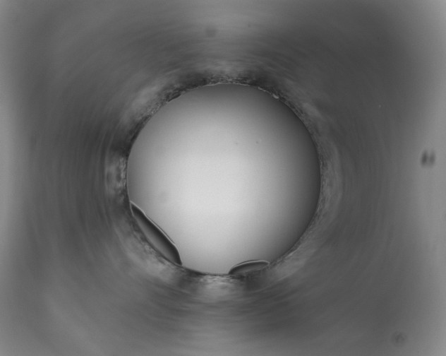 X0000113200528200909241402