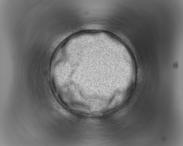 X0000113200529200909241401