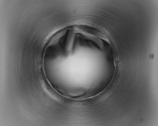 X0000113200530200909241401