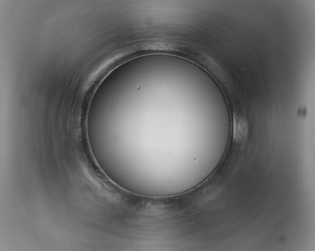 X0000113200531200909241401