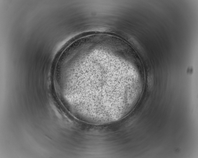 X0000113200532200909241401