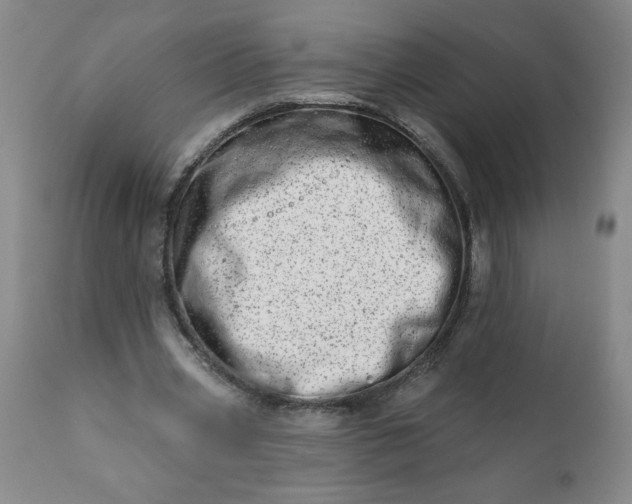 X0000113200533200909241401