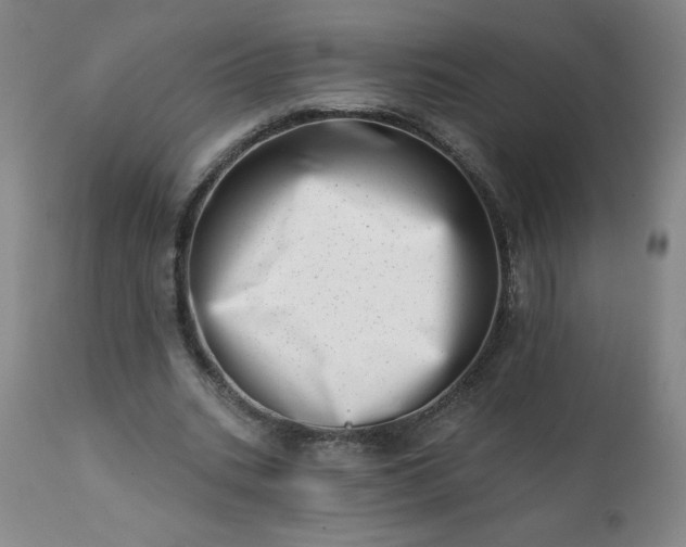 X0000113200535200909241401