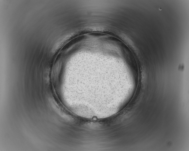 X0000113200537200909241401