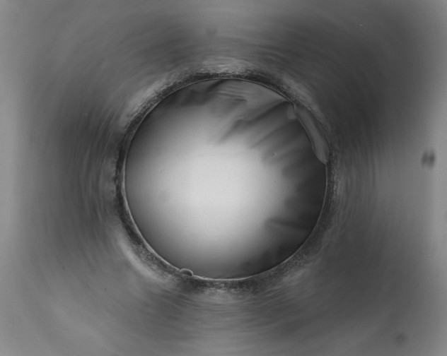 X0000113200538200909241401