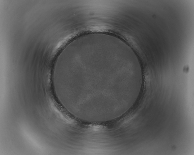 X0000113200539200909241401