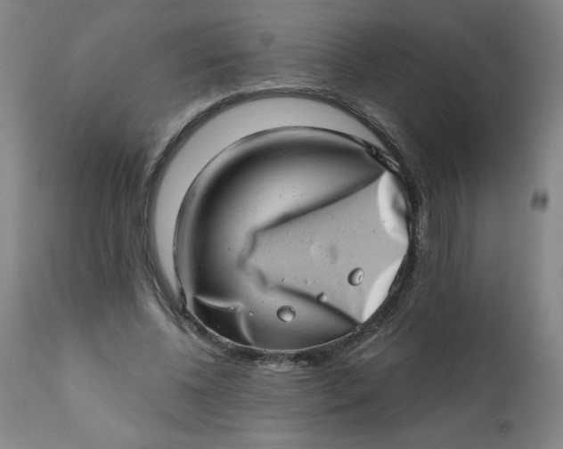 X0000113200540200909241401