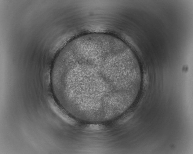 X0000113200541200909241401