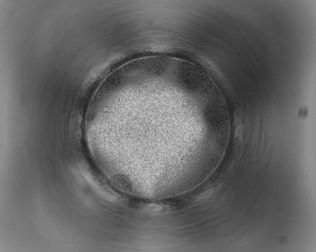 X0000113200542200909241401