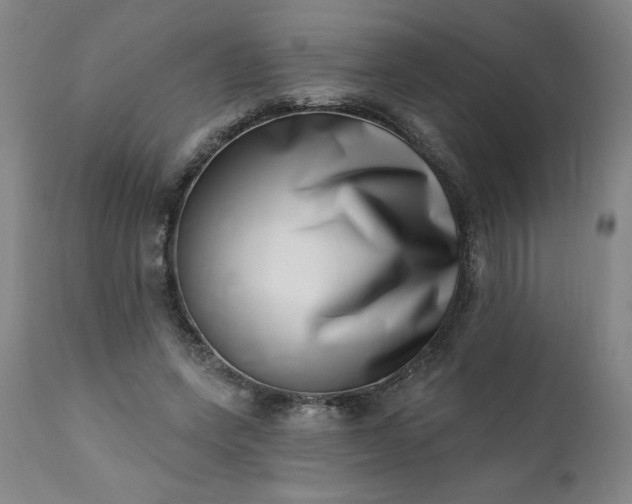 X0000113200543200909241401