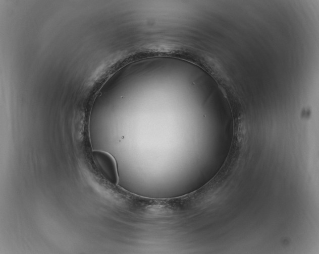 X0000113200544200909241401