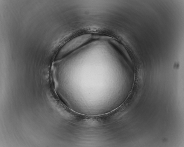 X0000113200545200909241401