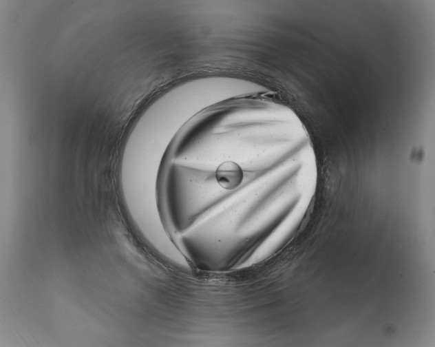 X0000113200546200909241401