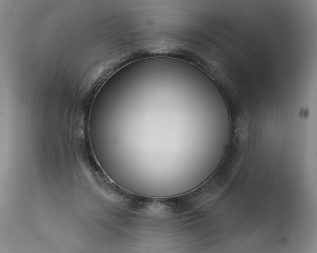 X0000113200547200909241401