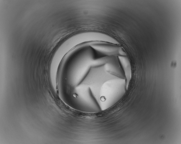 X0000113200548200909241401