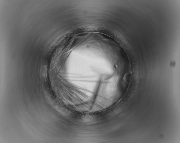 X0000113200549200909241401