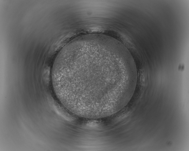 X0000113200550200909241401