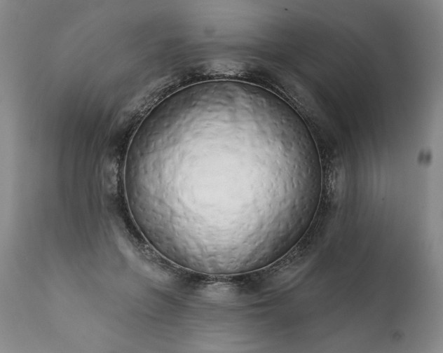 X0000113200551200909241401