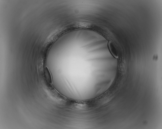 X0000113200552200909241401