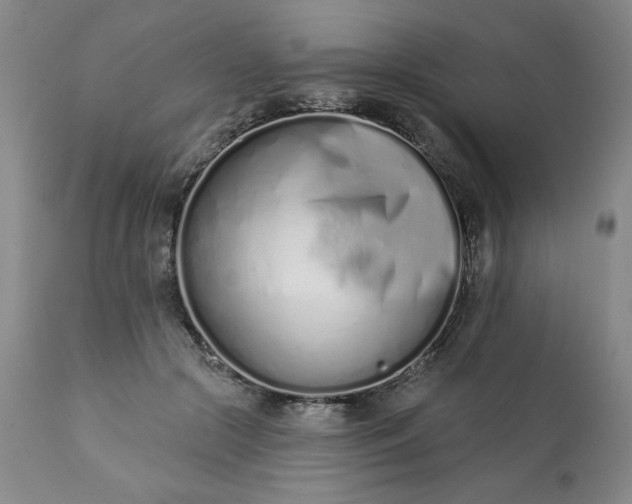 X0000113200553200909241401