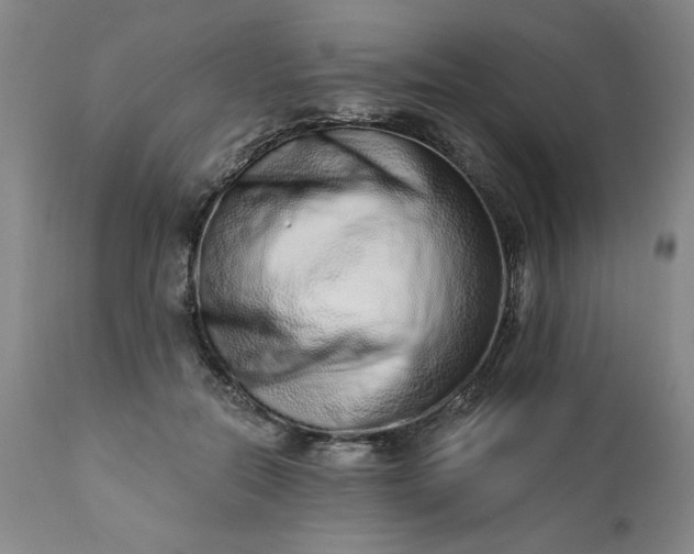 X0000113200554200909241401